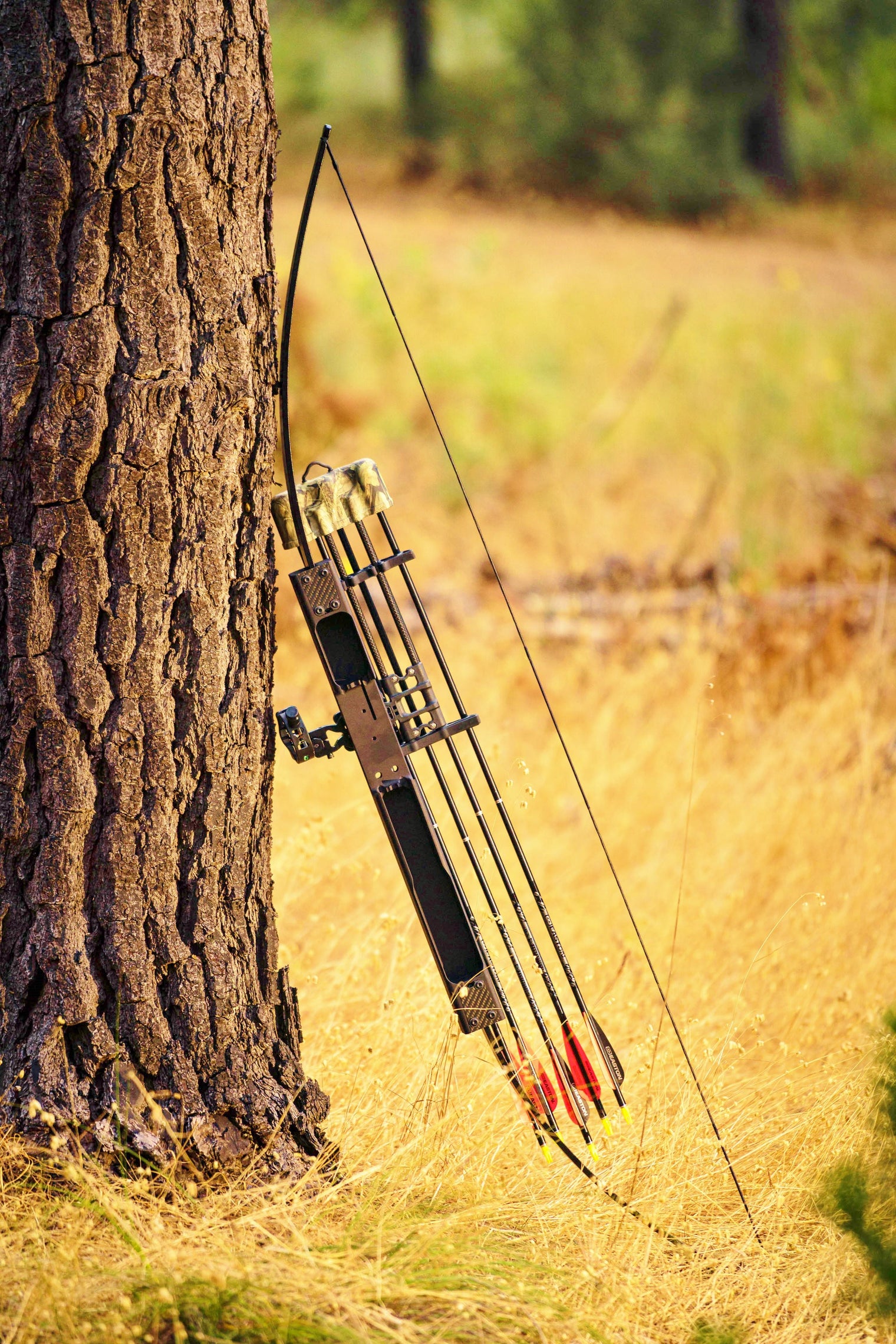 Ranger Takedown Survival Bow 40# | Versatile Hunting & Preparedness Archery