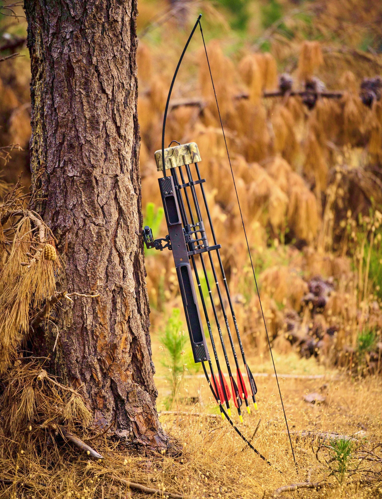 Scout Takedown Survival Bow 40# | Entry-Level Archery for Preppers & Hunters
