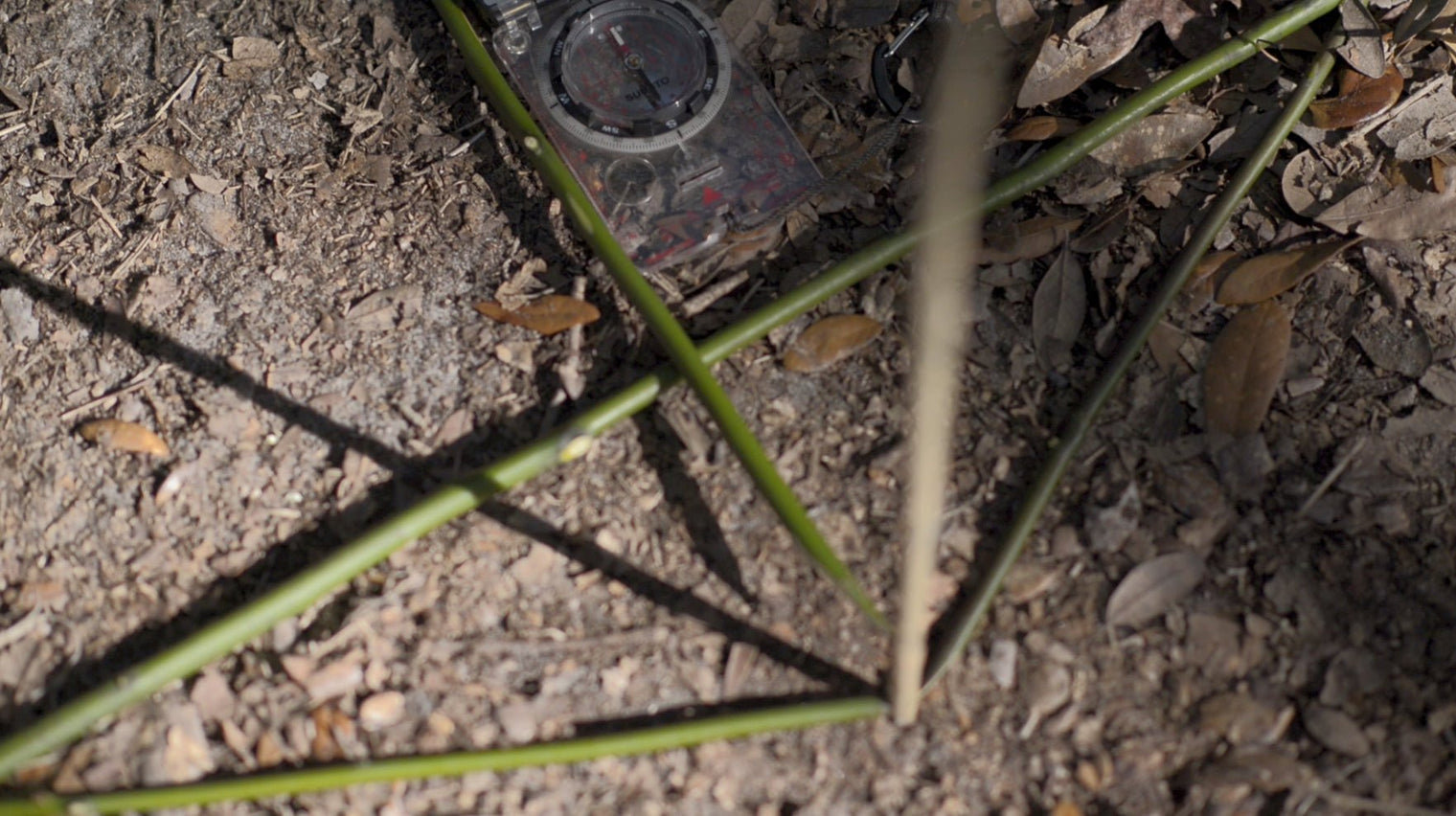 Into the Woods: Wilderness Survival Training Film with Joshua Enyart – Streaming & USB Options