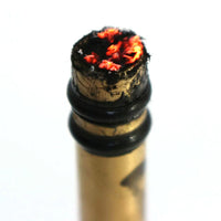 Brass Fire Piston Kit Portable Ignited Piston Firearm Useful Air Compression Fire Tube Survival Tool for Outdoor Travel