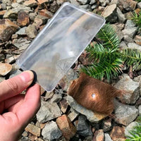 Outdoor Solar Fire Starter Card | Fresnel Lens Survival Tool