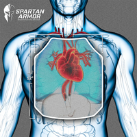 Heavy-Duty Steel Protection Plate – Industrial Impact-Resistant Panel (10×12 or 11×14)