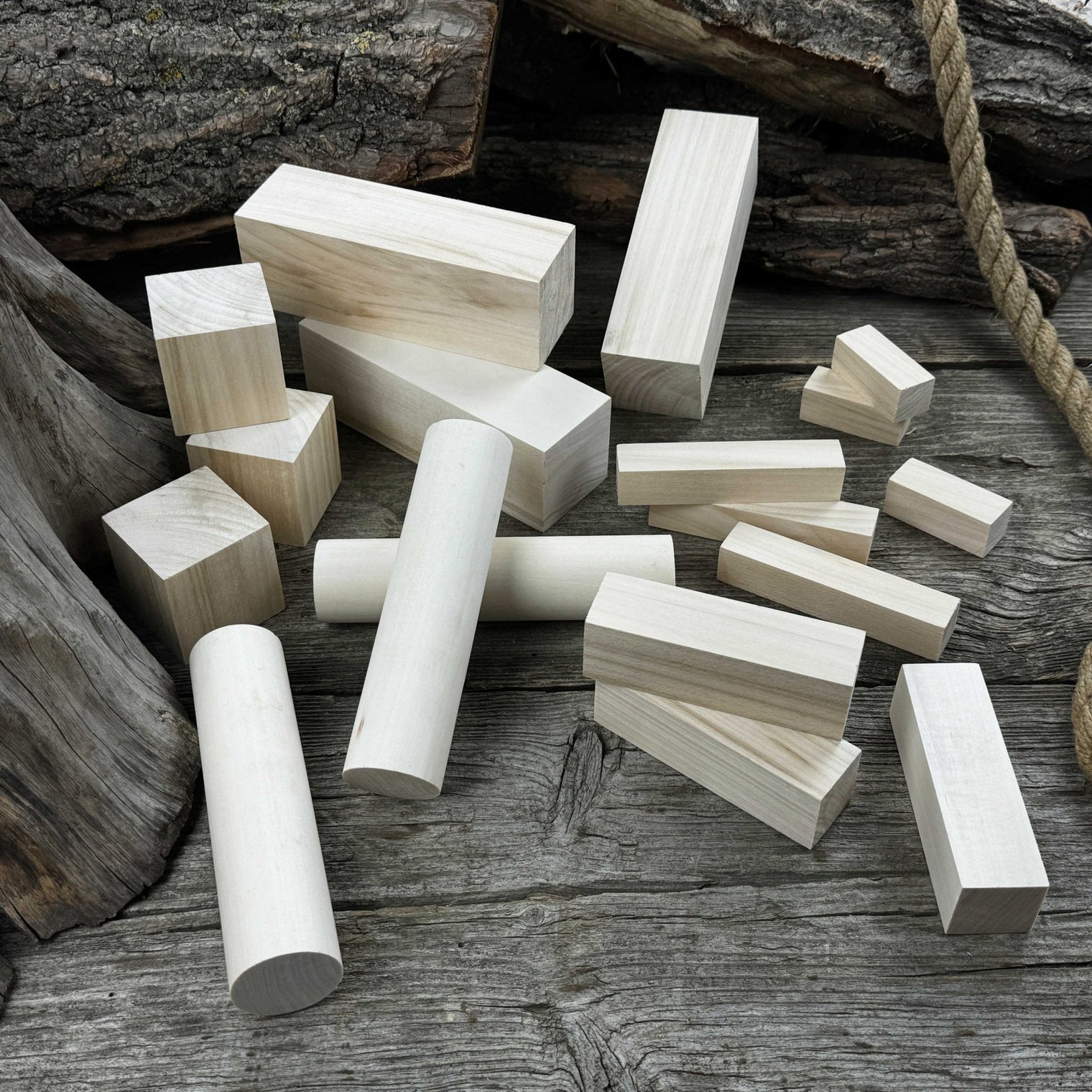 Set of 18 Assorted Linden Wood Carving Blanks
