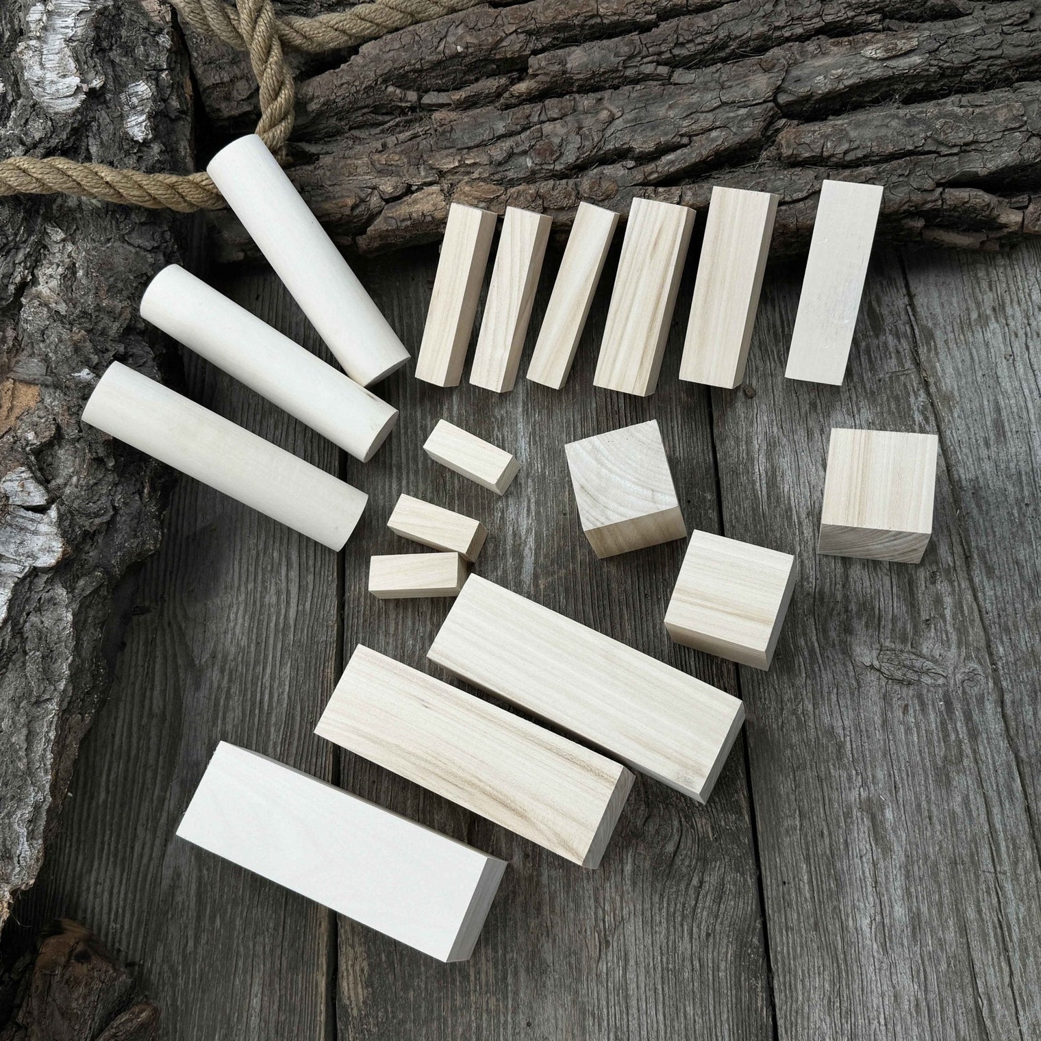 Set of 18 Assorted Linden Wood Carving Blanks