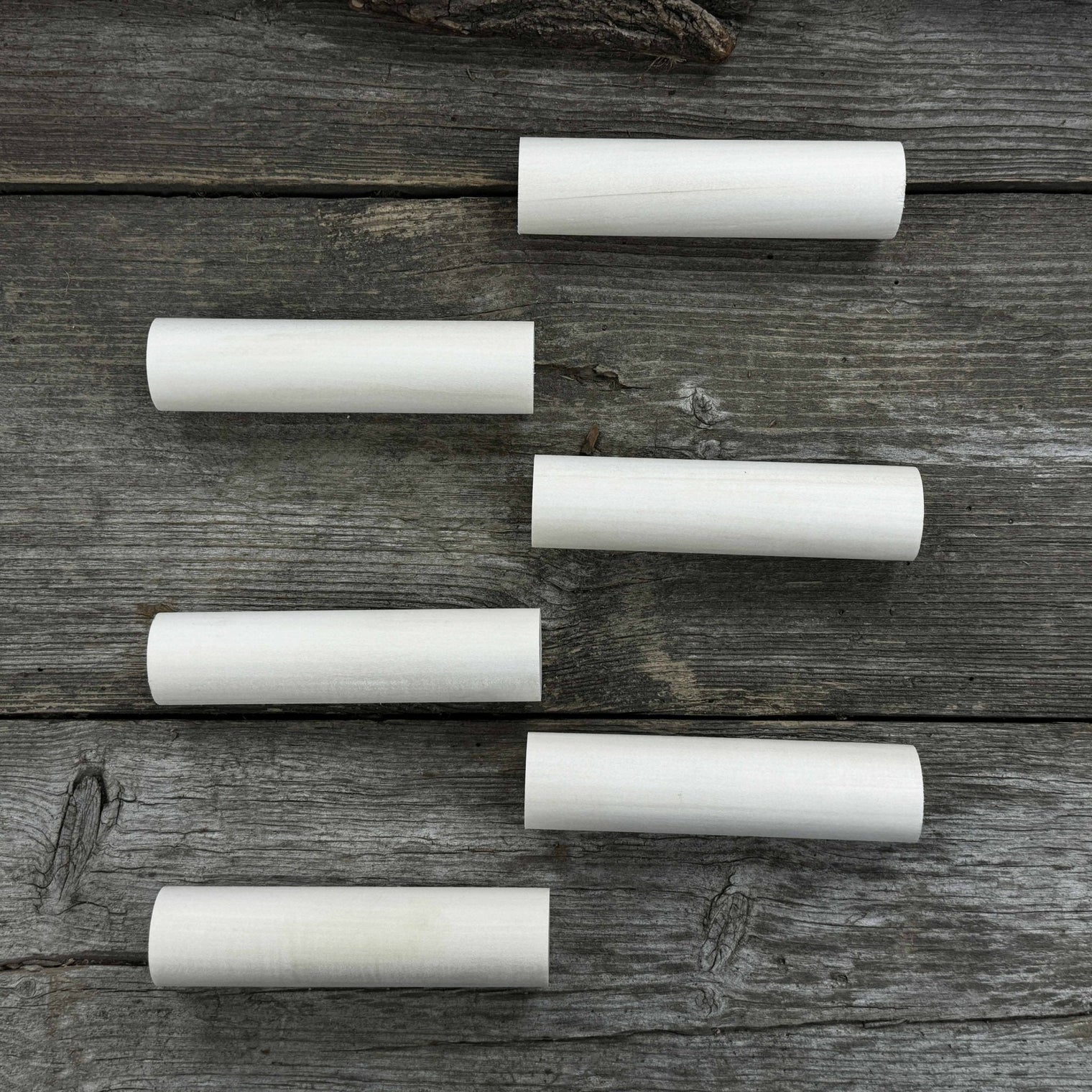 Set of 6 Round Linden Wood Carving Blanks