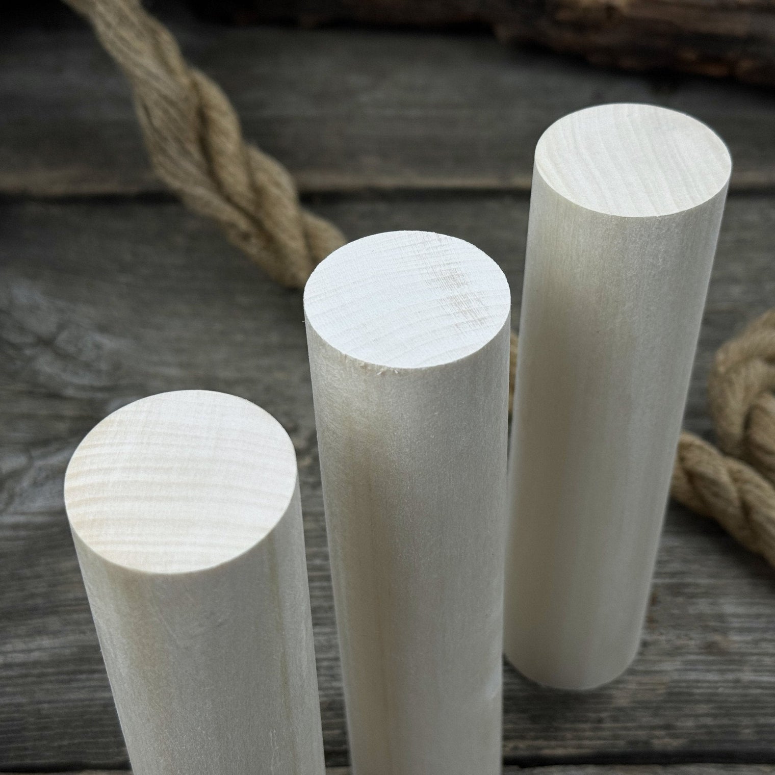 Set of 6 Round Linden Wood Carving Blanks