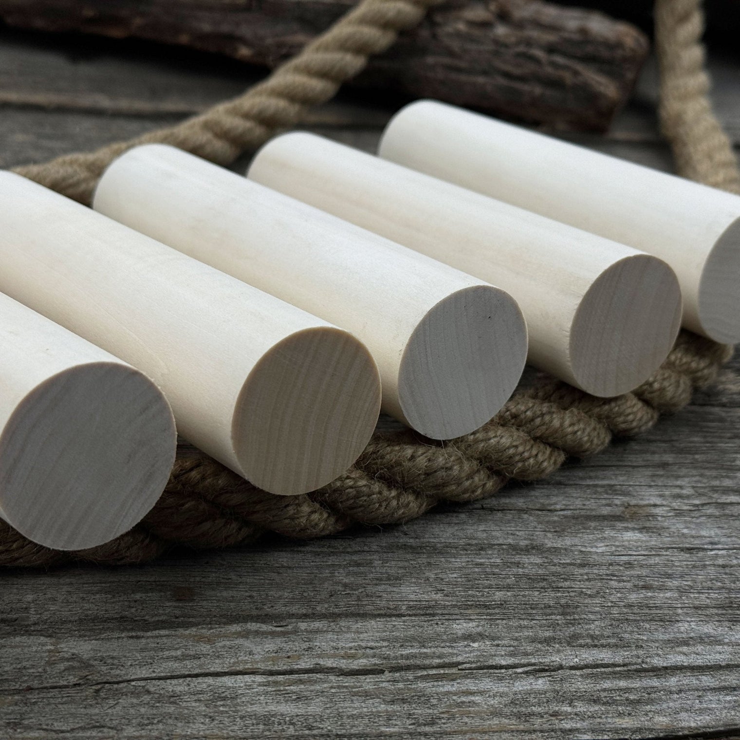 Set of 6 Round Linden Wood Carving Blanks